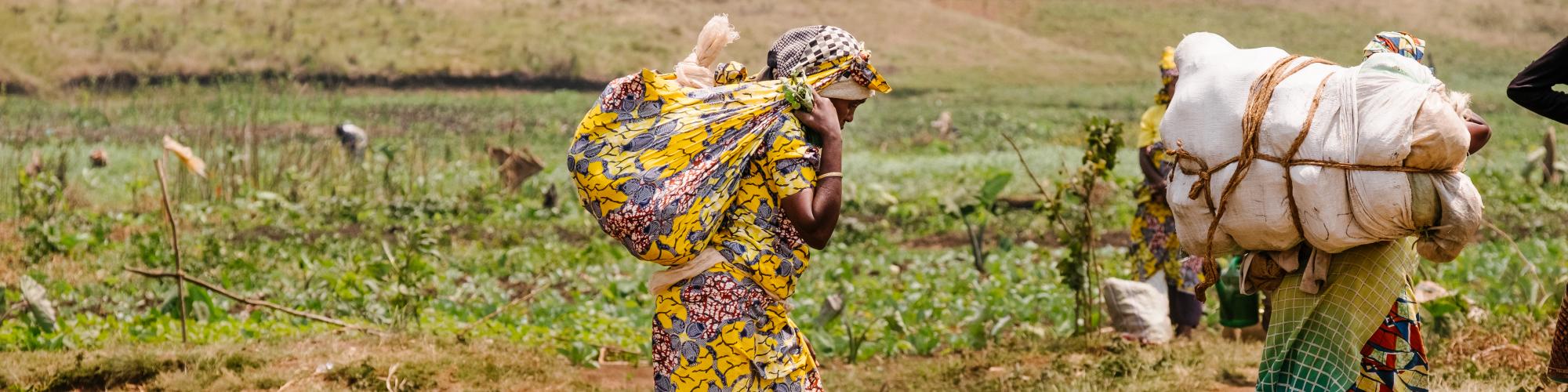 République démocratique du Congo