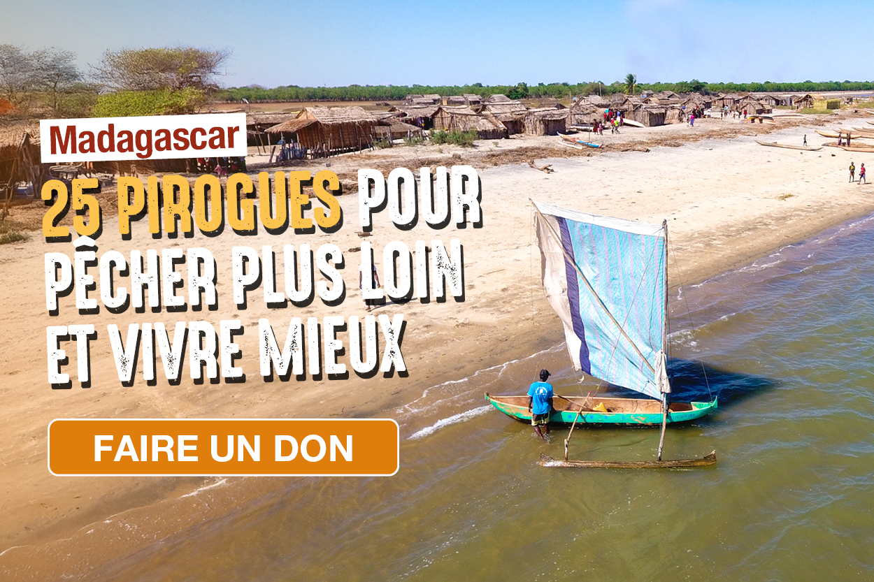 campagne - 25 pirogues pour changer le quotidien de 100 familles 