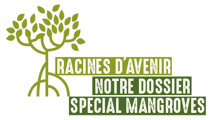 Racines d'avenir, dossier spéciale mangroves