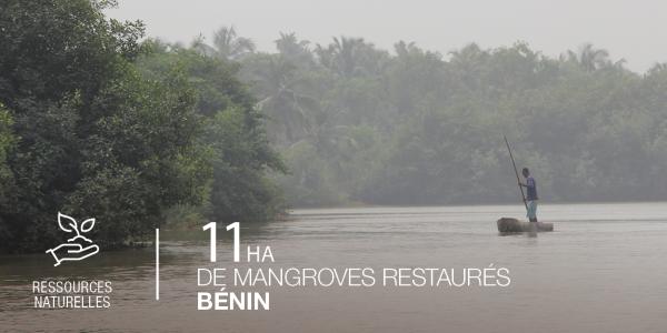 Bénin, 11Ha de mangroves restaurés