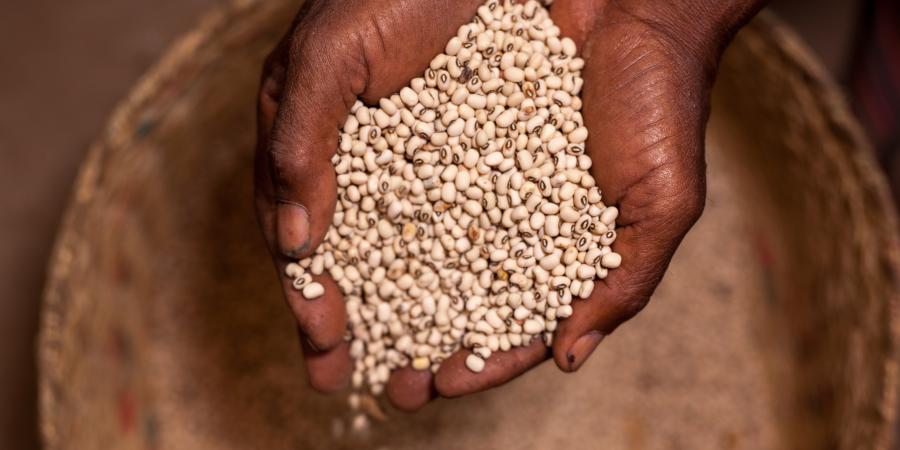 Résilience socio-économique des femmes rurales à Menabe