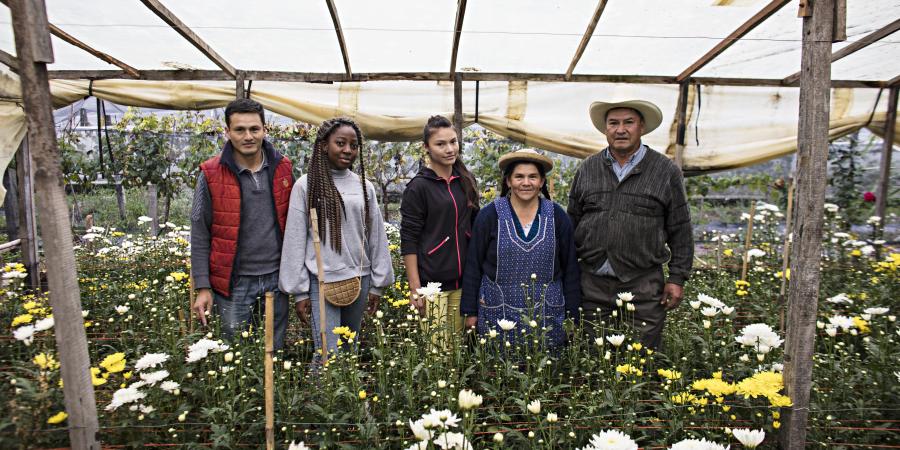 Impulser des systèmes alimentaires durables