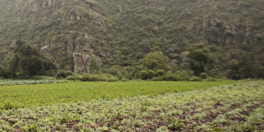Résilience en santé mentale face au changement climatique en Bolivie
