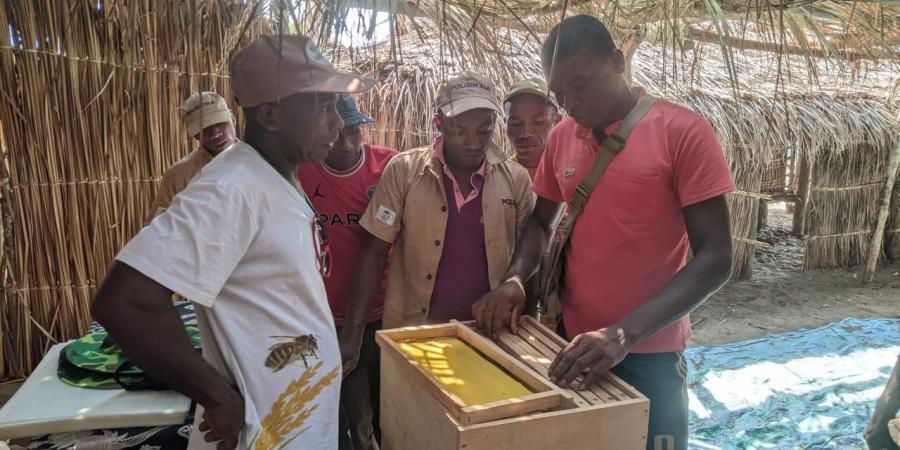 Madagascar: Making a living from mangrove honey