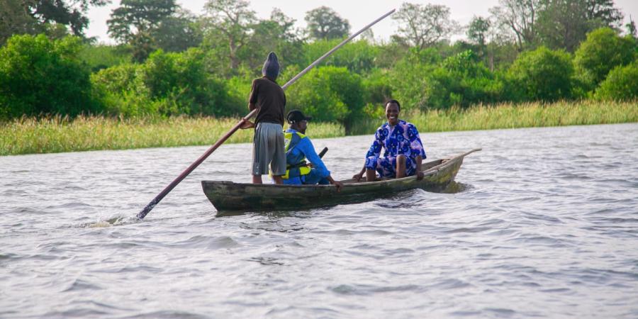 Four years of research into mangrove resilience