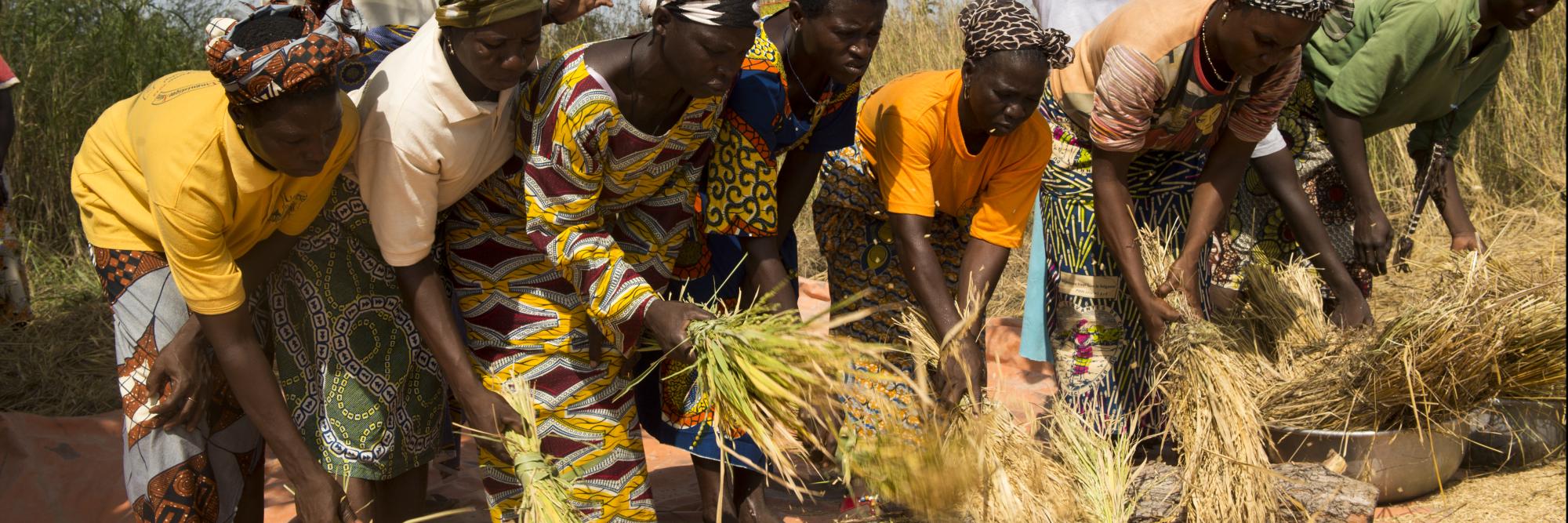 Agroecology in Benin