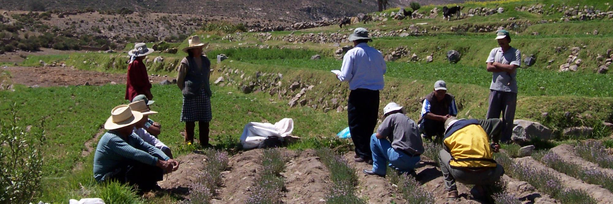 Promoting sustainable food systems