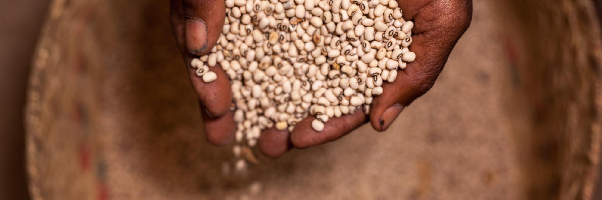 Résilience socio-économique des femmes rurales à Menabe