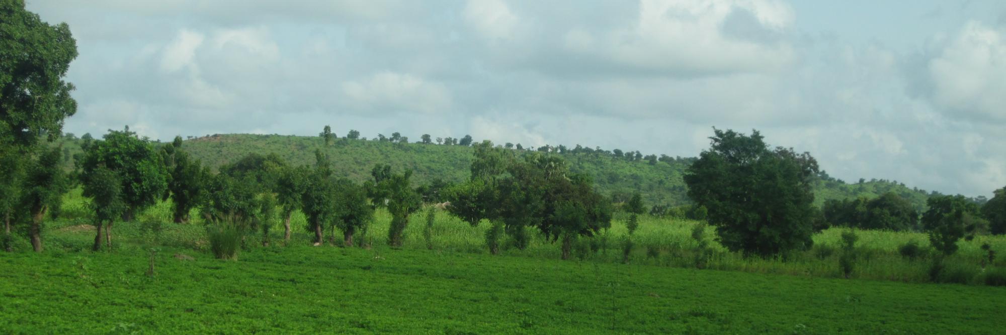  Le contexte du Togo
