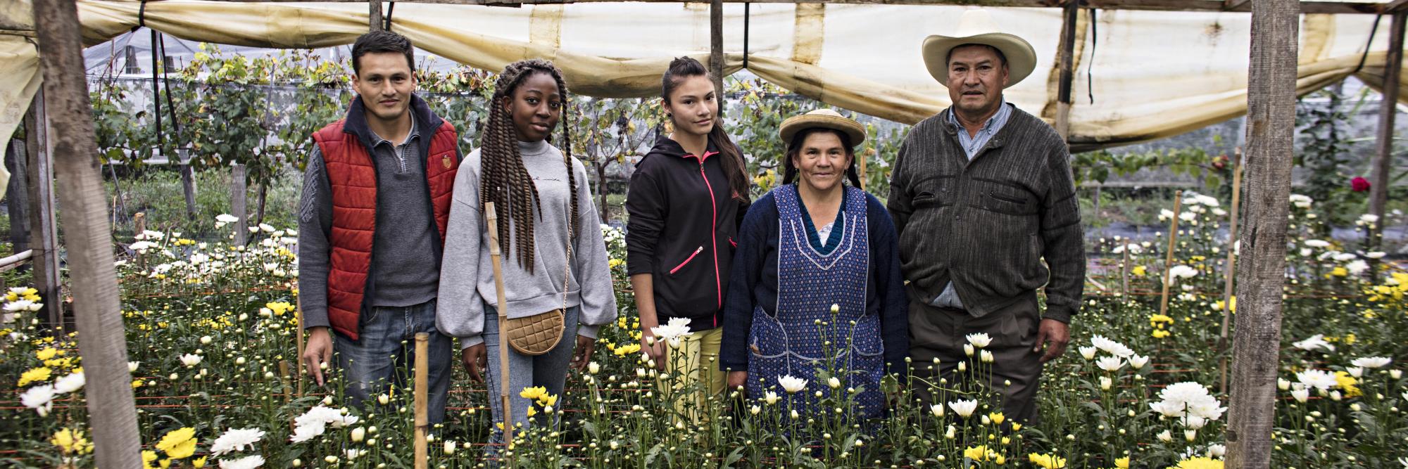 Impulser des systèmes alimentaires durables 