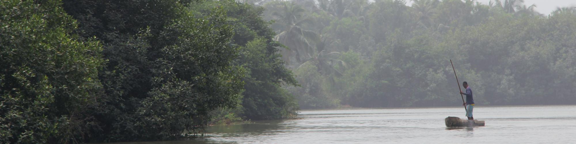 Racine d'avenir, dossier spéciale mangroves