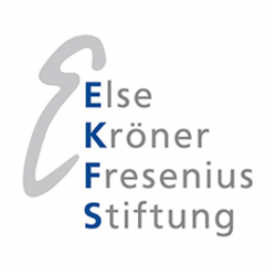 Logo EKFS