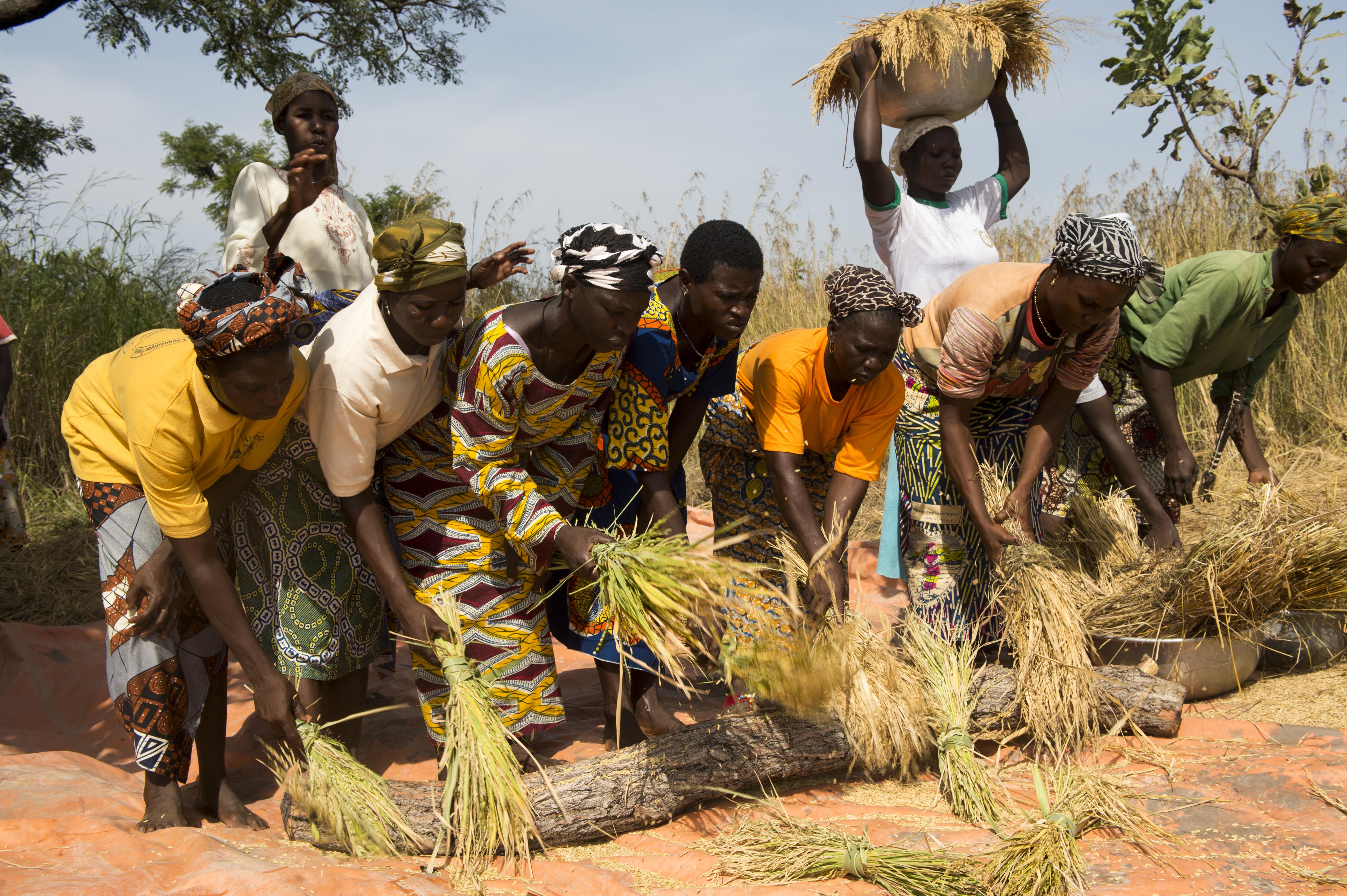 Agroecology in Benin