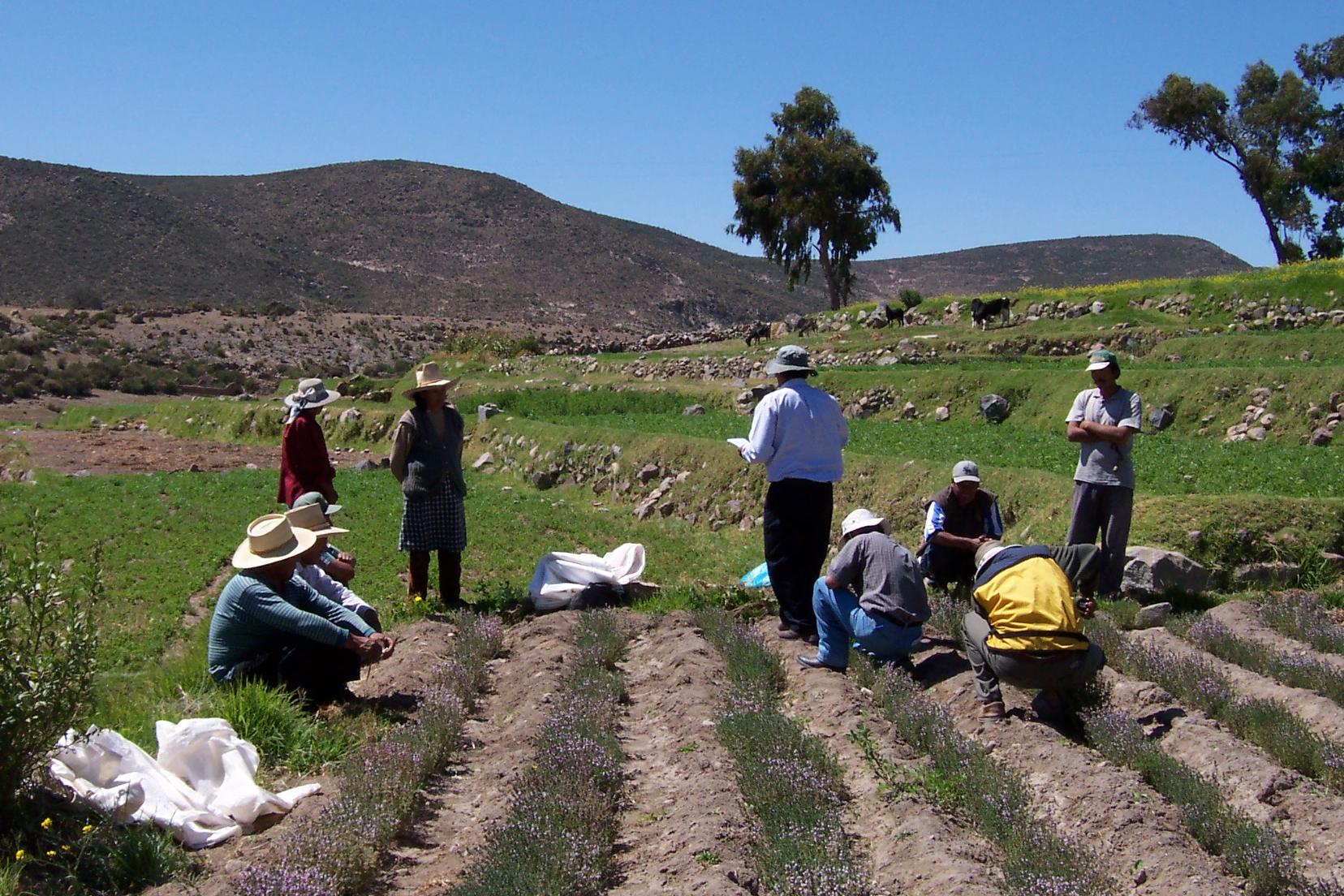Promoting sustainable food systems