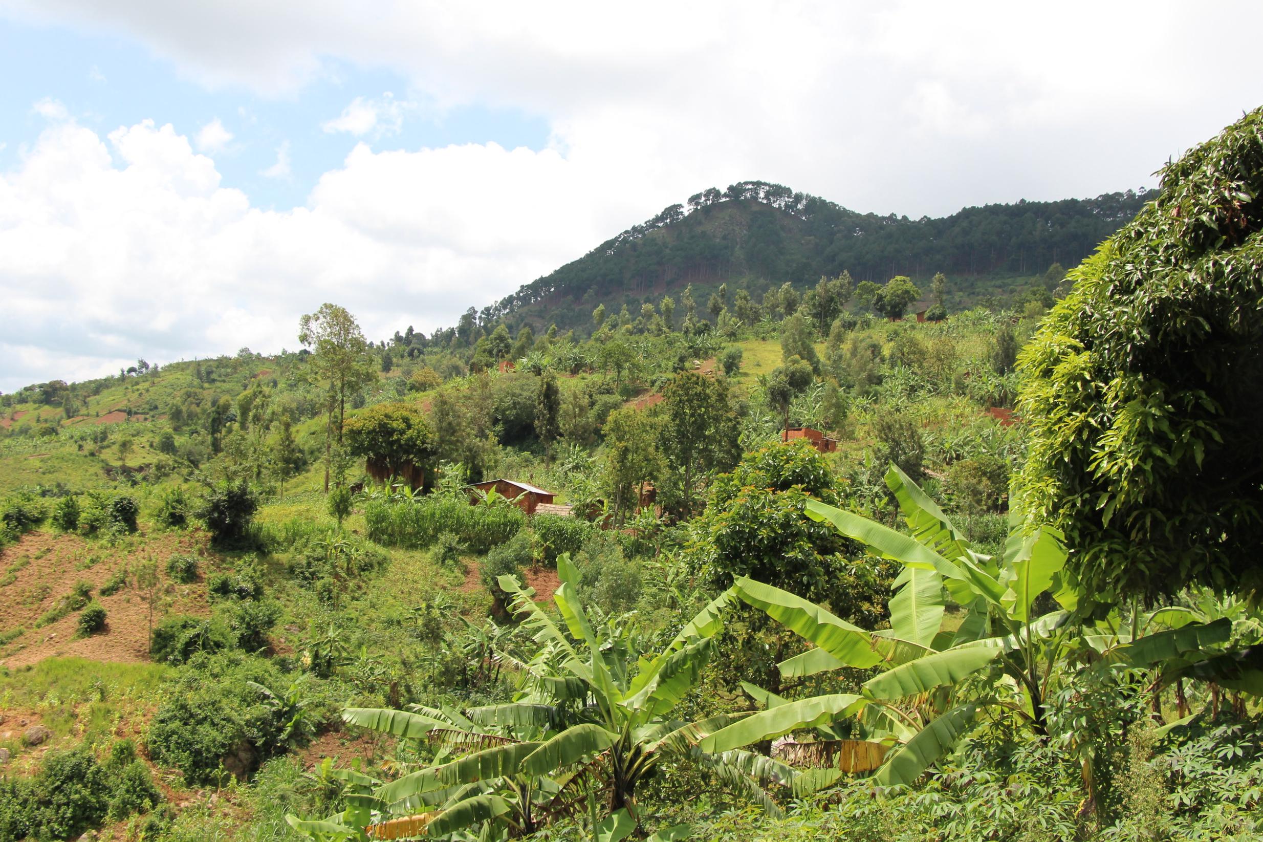 Support for our advocacy work to influence environmental policies