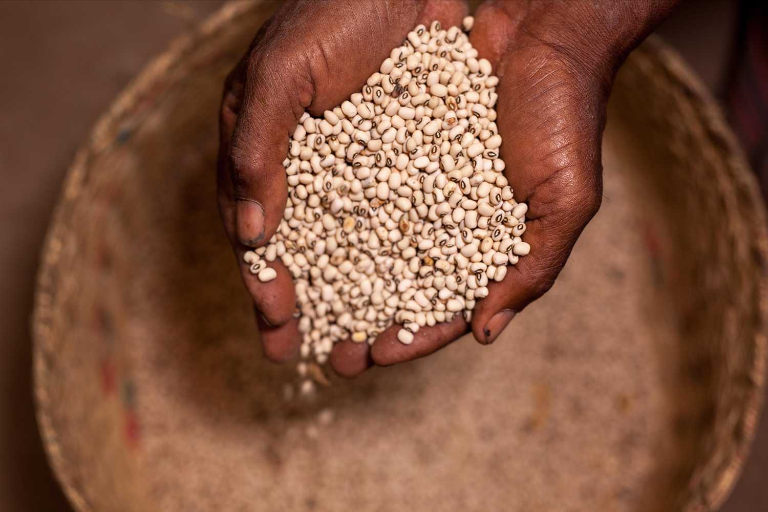 Résilience socio-économique des femmes rurales à Menabe