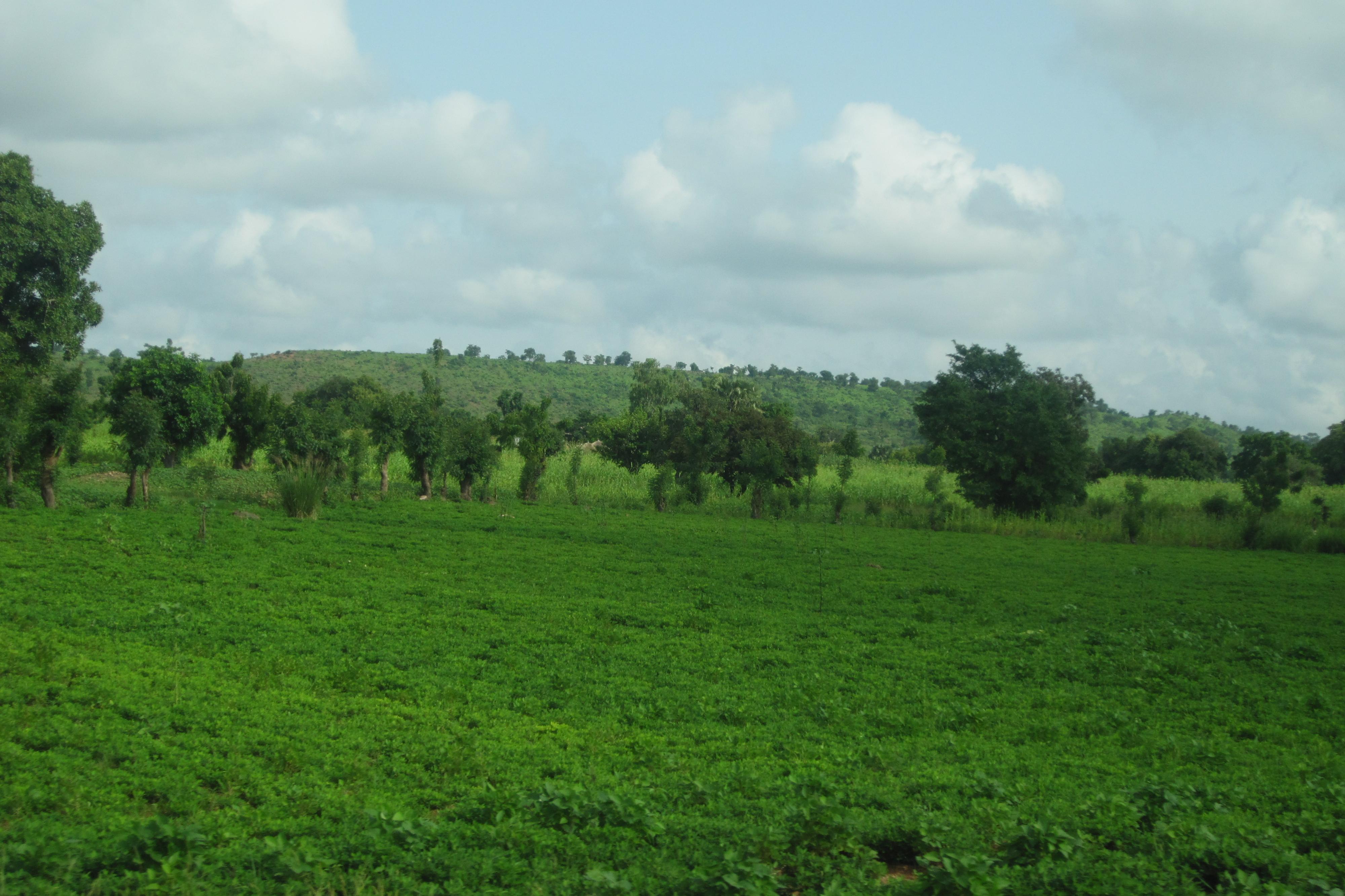  Le contexte du Togo