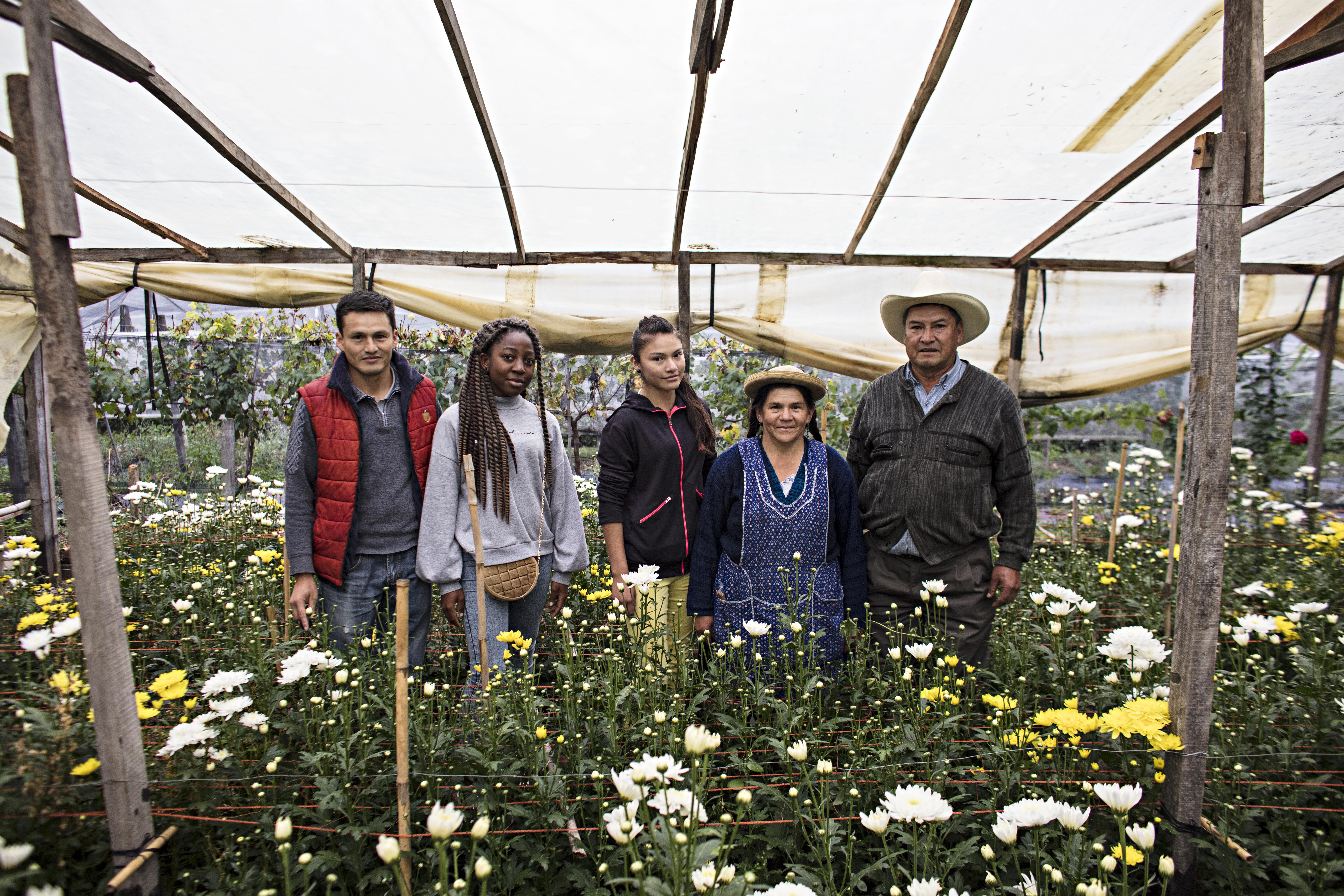 Impulser des systèmes alimentaires durables 